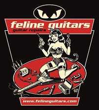 Feline Guitars -Guitar Repair