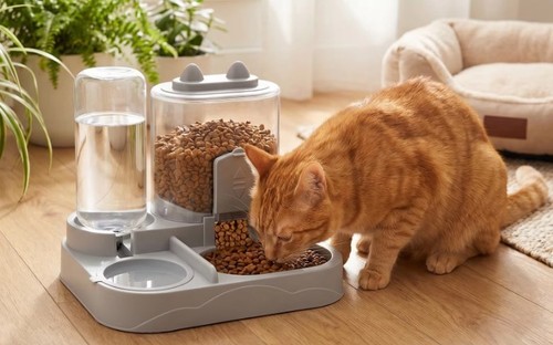 Automatic pet food and - automatic, water