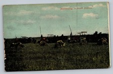 c1915 Harvesting In South Dakota Horse Drawn Equipment Farming Vintage Postcard