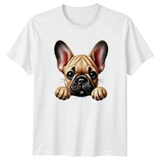 Adorable French Bulldog Puppy