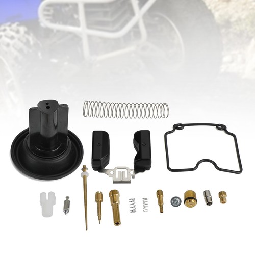Carburetor rebuild repair - carburetor,