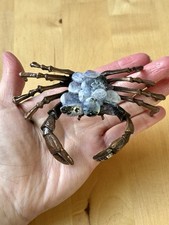 Labradorite crystal chips crab - labradorite,