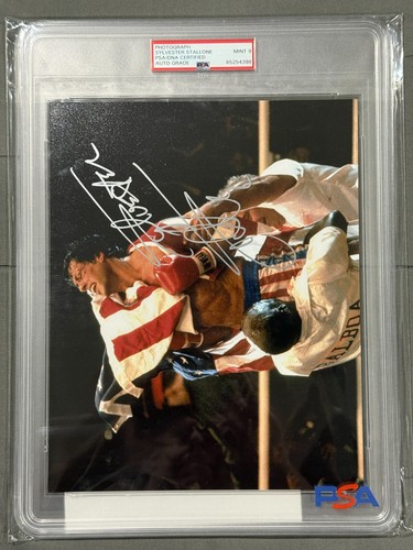 Actor sylvester stallone rocky - actor,