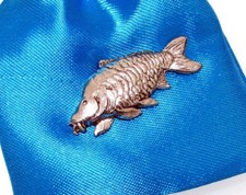 Mirror Carp Fish Fishing