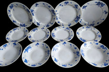 12 Piece White & Blue Floral Crown Dynasty Plate & Bowl Set