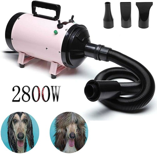 2800w dog hair - dog,