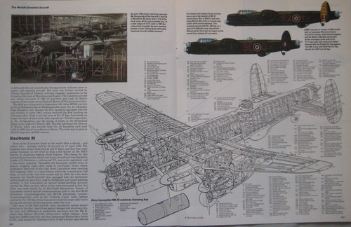 The illustrated encyclopedia - the,