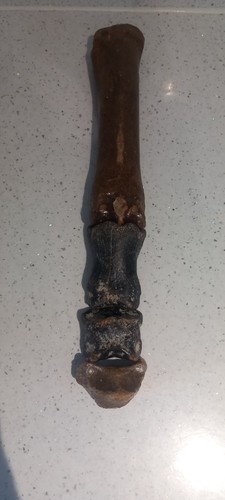 Large genuine ice age - large,