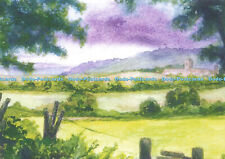 D170809 Great Daffodil