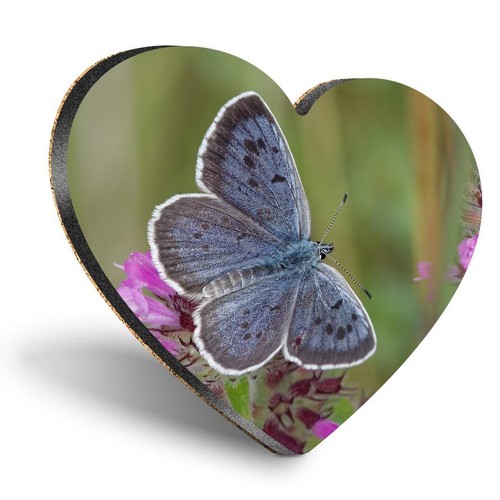 Heart mdf coaster the - mdf, large