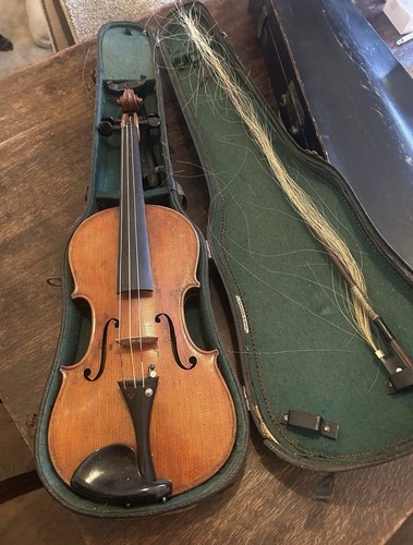 Violin labelled carlo - labelled,