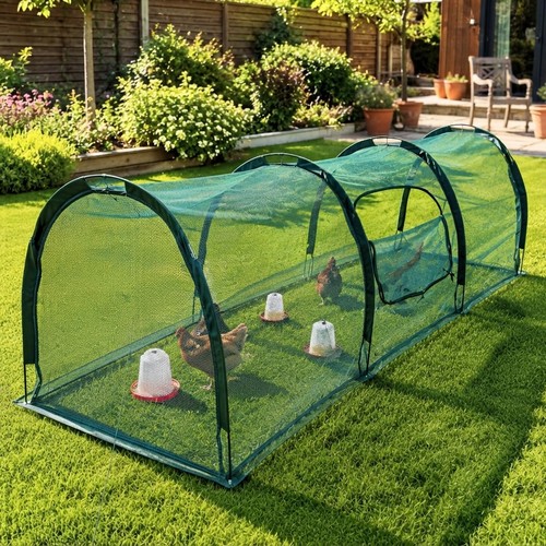 Versatile chicken run hen - chicken,