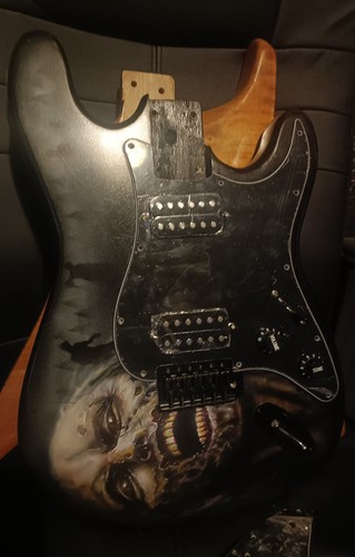 Stratocaster loaded guitar - stratocaster,