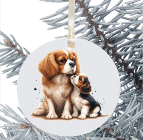 King charles cavalier spaniel - charles,