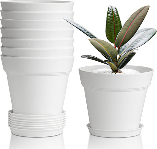 10cm plastic plant pots - plastic,