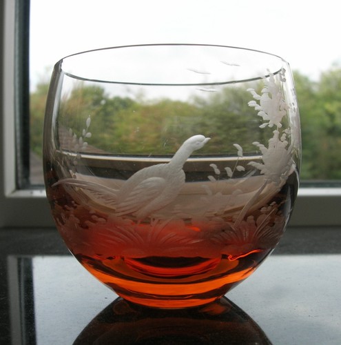 Moser birds the wild - "birds,