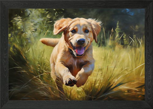 Labrador retriever puppy - retriever,