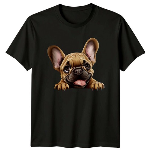 Cute french bulldog puppy - cute,