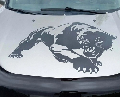 Large tiger panther - large,