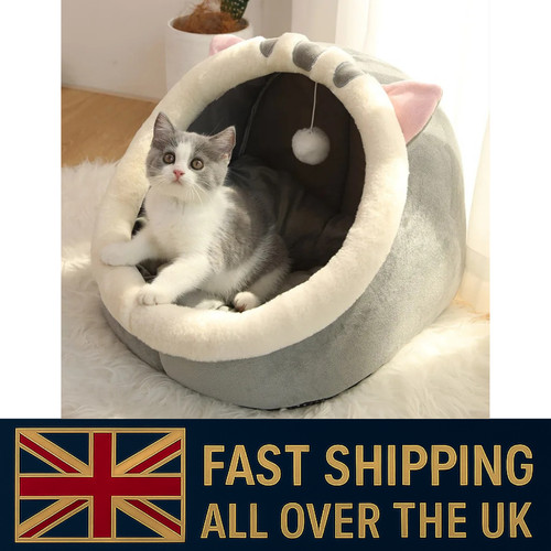 Pet cat igloo - cat, soft