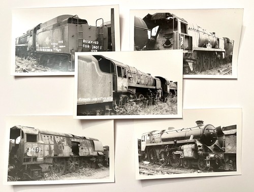 Steam rail photo - photo, dai