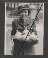 PHOTOGRAPH WW2 Garden Produce Shop at Cheltenham /  ATS Sergeant with Onions