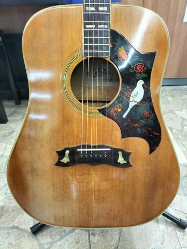 Aria acoustic guitar - aria,
