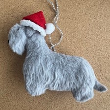 CESKY TERRIER with CHRISTMAS