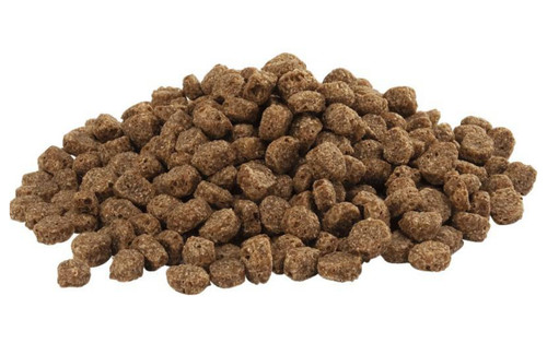 Swan duck food wild - swan,