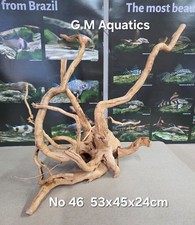 Red moor / Azalea wood No 46