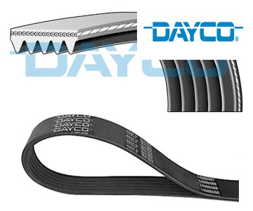 Ribbed belt fits abarth - belt, fits: