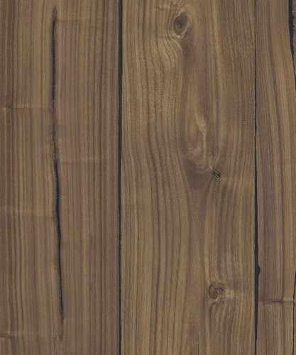 Walnut almond expressive - walnut,
