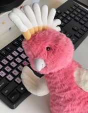 Vibrant Jellycat Amuseables