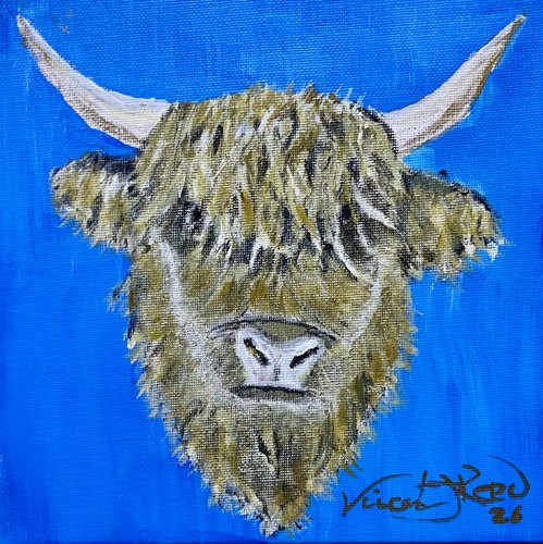 Highland cow acrylic painting - highland,