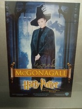 Dame Maggie Smith as Professor