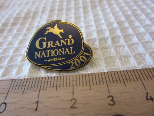 Grand national aintree - aintree, 2001