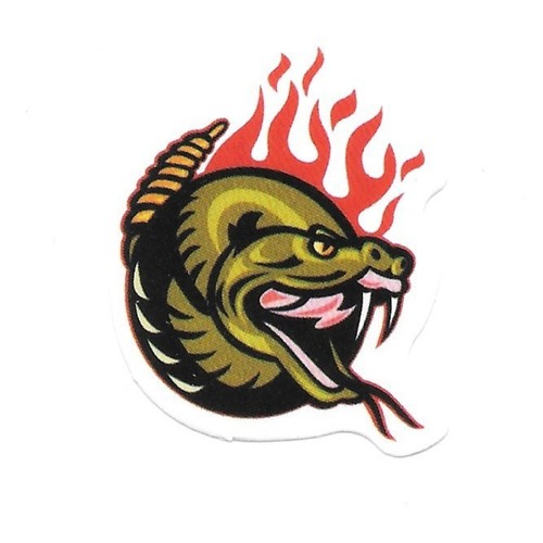 Flaming rattlesnake vinyl - rattlesnake,