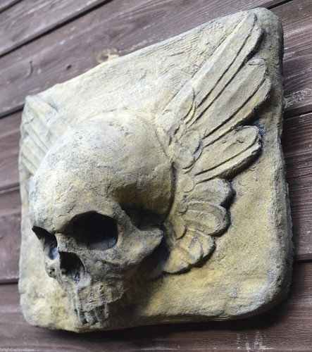 Winged skull gothic - winged,