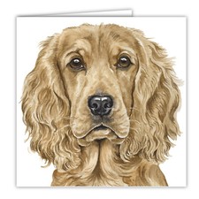Cocker Spaniel greetings card
