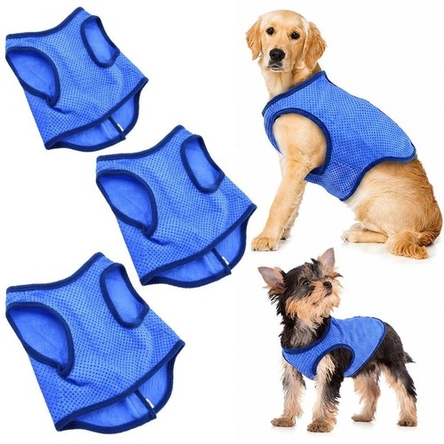 Summer dog cooling vest - summer,