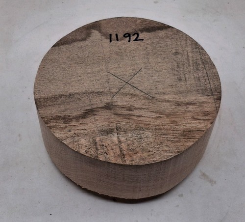 Oak woodturning bowl blank