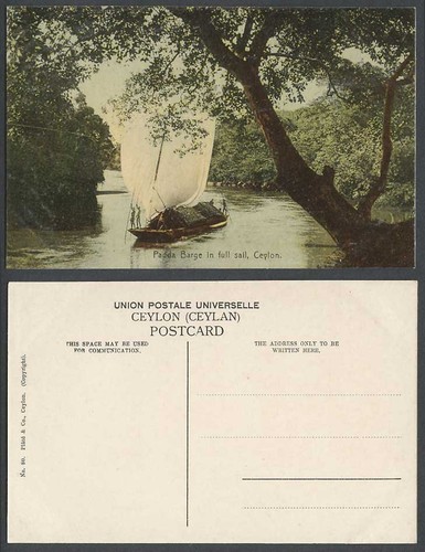 Ceylon old colour postcard - ceylon,