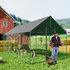 Large metal walk - large, chicken
