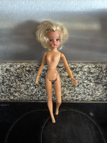Vintage 1970s pedigree sindy - 1970s,