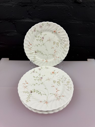 Wedgwood campion salad - wedgwood,