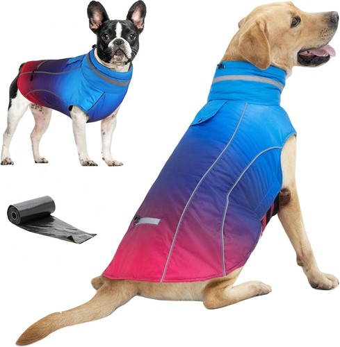 Dog coat winter water - dog,