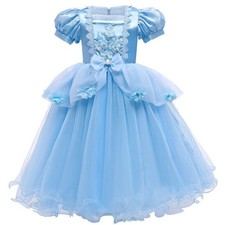 Cinderella Princess Fancy