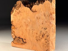 Burr Elm Live Edge Woodturning