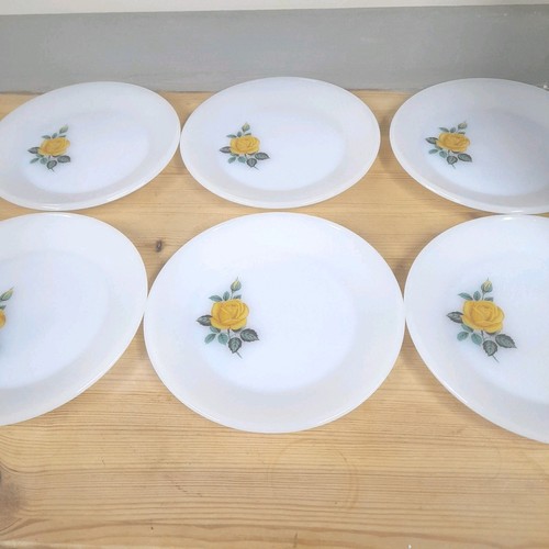 Vintage phoenix opalware - vintage,