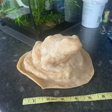 Clearance Rubber Latex Mould